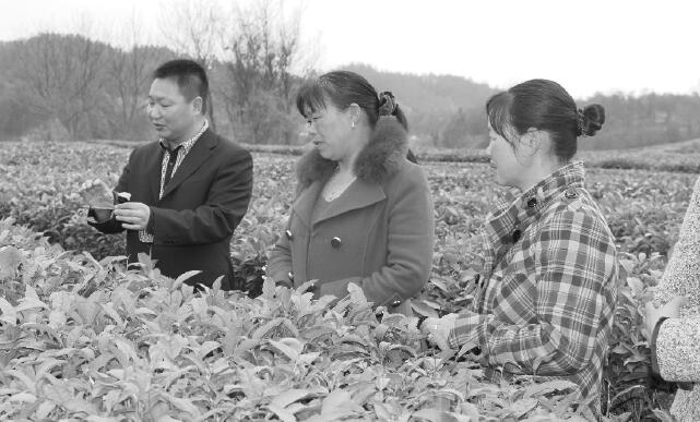 湖北省英山縣：“望聞問切”開方子 闖出就業(yè)好路子