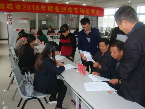 安徽省桐城市舉辦就業(yè)脫貧專場招聘會