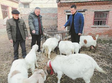 河南省商水縣鄧城鎮(zhèn)大學(xué)生村官幫貧困戶脫貧
