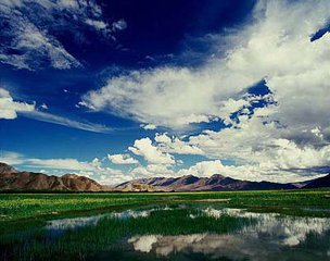 年楚河畔的古老嬗變