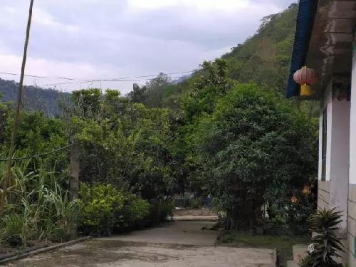 花兒美 枇杷香 甘蔗甜 墨脫農(nóng)家小院就是你理想中的田園生活