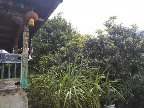 花兒美 枇杷香 甘蔗甜 墨脫農(nóng)家小院就是你理想中的田園生活