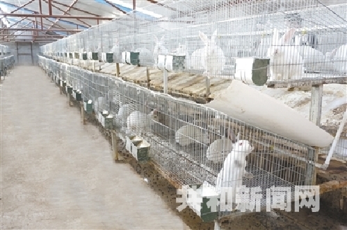 青海共和：脫貧攻堅黨旗紅