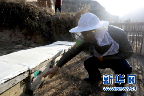 山西石樓：感受脫貧攻堅之“新”