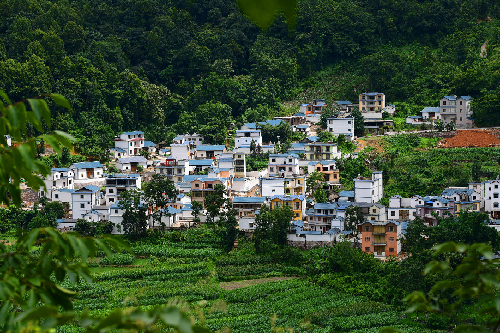 云南羅平：脫貧攻堅(jiān)繪出農(nóng)村“新畫(huà)面” 
