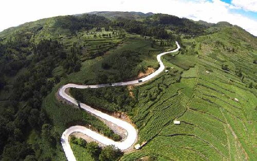 貴州省煙草專賣局：產(chǎn)業(yè)發(fā)展“同頻”脫貧攻堅(jiān)