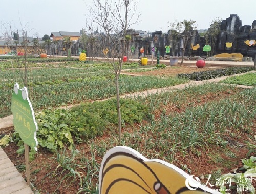 黃平舊州:古鎮(zhèn)創(chuàng)新創(chuàng)業(yè)全面小康再發(fā)力 黃平舊州:古鎮(zhèn)創(chuàng)新創(chuàng)業(yè)全面小康再發(fā)力