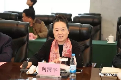 山東濟(jì)南：湘西州人民政府副州長(zhǎng)向清平率隊(duì)到濟(jì)南市開展勞務(wù)協(xié)作對(duì)接工作