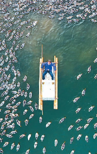 脫貧攻堅(jiān)：硬仗必須打贏