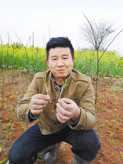 經(jīng)營“美麗事業(yè)”返鄉(xiāng)創(chuàng)業(yè)當農(nóng)民 經(jīng)營“美麗事業(yè)”返鄉(xiāng)創(chuàng)業(yè)當農(nóng)民