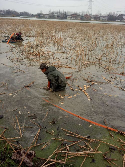 安徽廬江：扶貧車間進村頭 脫貧致富不用愁