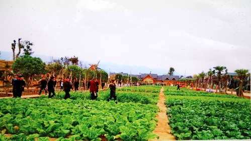 貴州黃平：黃平川心生態(tài)合作社與500貧困戶簽訂“銷不愁”協(xié)議