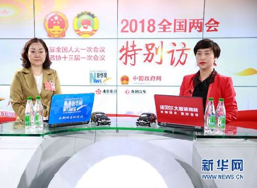 王馨：多措并舉 振興鄉(xiāng)村發(fā)展