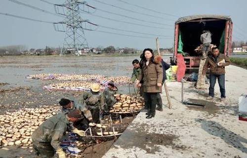 安徽廬江：有種力量叫感動(dòng)，讓我們?cè)诜鲐毜穆飞巷L(fēng)雨兼程