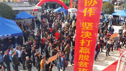 鄉(xiāng)村居民家門口就能找到好“東家”——湖南省岳陽市平江縣舉辦精準就業(yè)扶貧招聘會