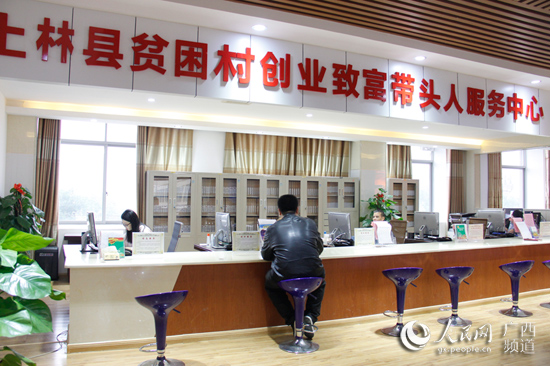 廣西：頭雁先飛眾雁隨 脫貧路上不掉隊