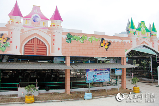 廣西：頭雁先飛眾雁隨 脫貧路上不掉隊