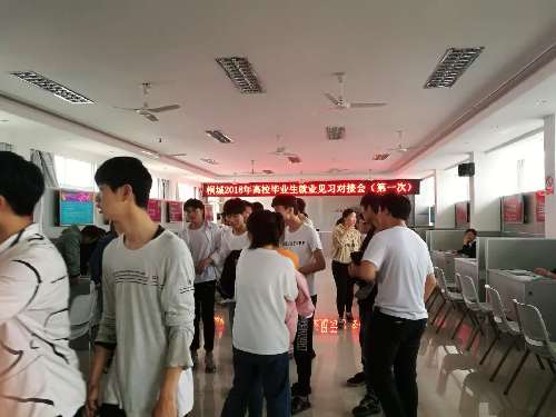 安徽桐城：2018年高校畢業(yè)生就業(yè)見習對接會正式啟動