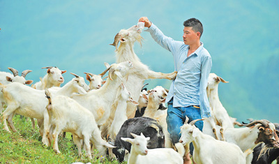 楊勝強：“獨臂羊倌”的自強創(chuàng)業(yè)