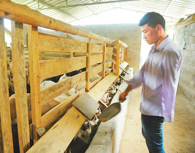 楊勝強：“獨臂羊倌”的自強創(chuàng)業(yè)