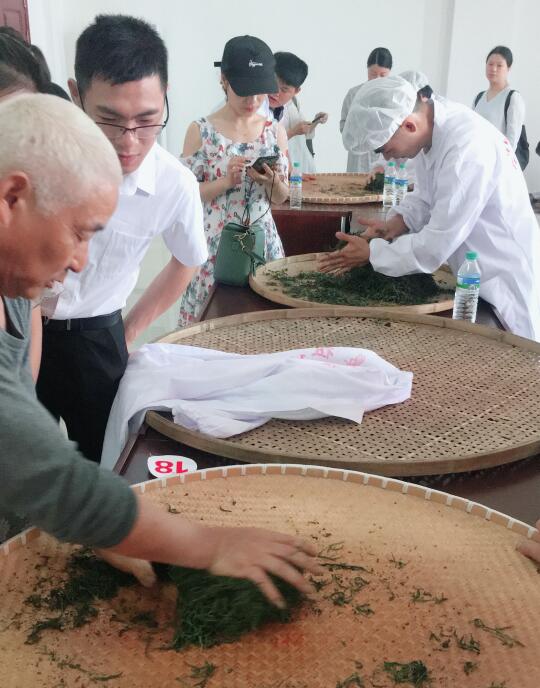 江西鉛山：舉辦首屆“河紅茶”制作技能競賽