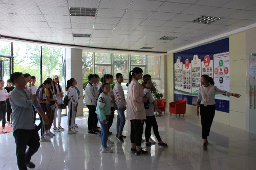 寧夏石嘴山：大武口區(qū)“三送服務(wù)”情暖高校畢業(yè)生