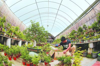 福建漳州：越來(lái)越多80、90后“城歸”返鄉(xiāng)創(chuàng)業(yè)