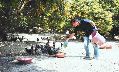 福建漳州:越來(lái)越多80、90后“城歸”返鄉(xiāng)創(chuàng)業(yè) 福建漳州:越來(lái)越多80、90后“城歸”返鄉(xiāng)創(chuàng)業(yè)