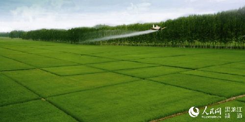 黑龍江省虎林市進(jìn)入全國農(nóng)村創(chuàng)業(yè)創(chuàng)新典型縣范例名單