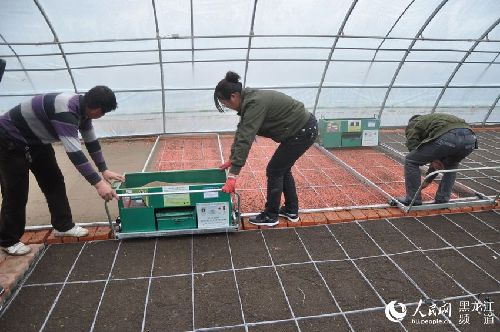 黑龍江省虎林市進(jìn)入全國農(nóng)村創(chuàng)業(yè)創(chuàng)新典型縣范例名單