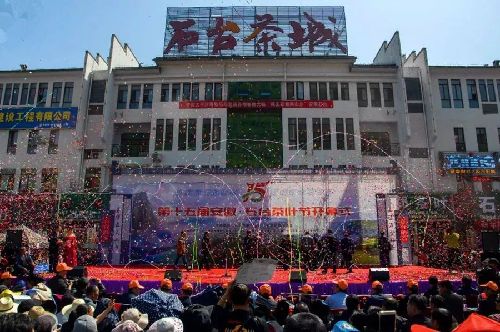 安徽石臺：五招“擒拿手”看石臺攻堅(jiān)克難