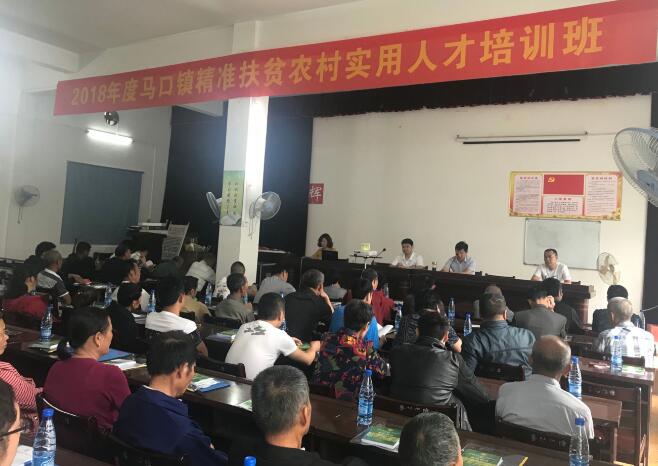 雨天上課傳知識(shí) 晴天下田送技術(shù)——湖北省漢川市馬口鎮(zhèn)為精準(zhǔn)扶貧戶農(nóng)田增收“掛專家號(hào)”