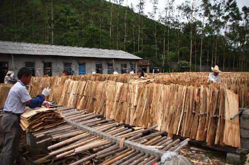 廣西恭城：嘉會(huì)鎮(zhèn)“扶貧車間”助脫貧