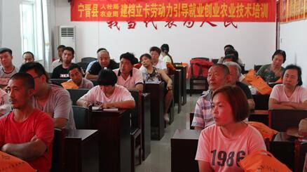 河北寧晉：大力開展就業(yè)扶貧引導性培訓