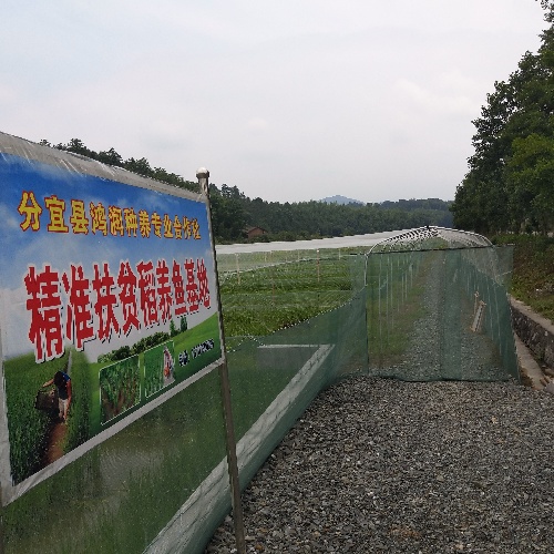 江西分宜：開展就業(yè)扶貧督查工作