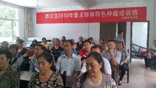 重慶黔江：特色工種培訓打通困難群眾就業(yè)創(chuàng)業(yè)路