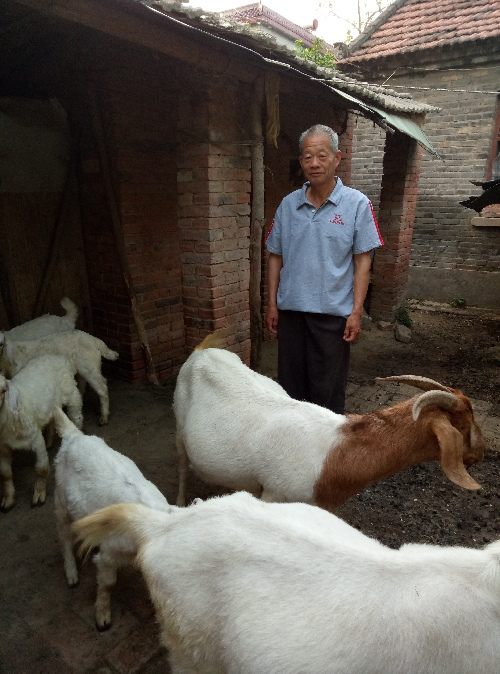 安徽界首：東城街道產(chǎn)業(yè)扶貧穩(wěn)固脫貧夢