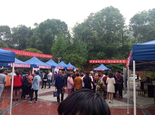 湖南省臨武縣農(nóng)村貧困殘疾人就業(yè)幫扶活動(dòng)總結(jié)