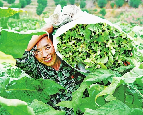 江西省南豐縣扶貧基地助農(nóng)民增收