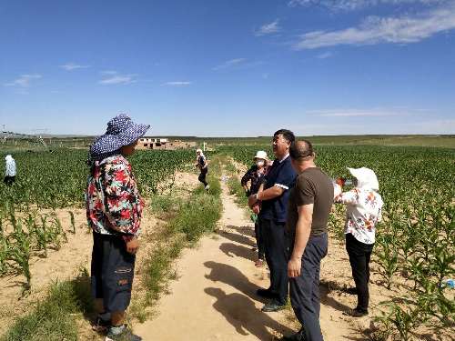 內(nèi)蒙古鄂托克前旗就業(yè)服務(wù)局持續(xù)不斷開展環(huán)境污染“大排查、大接訪、大整治”專項(xiàng)行動(dòng)