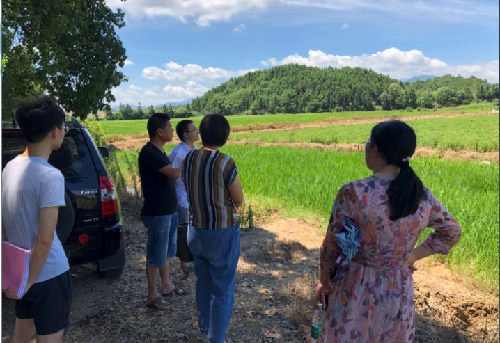 江西省豐城市就業(yè)扶貧認真“回頭看”，踏實“往前走”