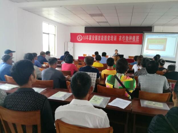 安徽無為：“定、變、精”扎實開展技能脫貧培訓(xùn)