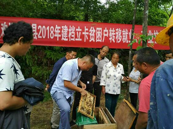 江西資溪：農(nóng)村實用技術(shù)培訓(xùn)助力就業(yè)扶貧