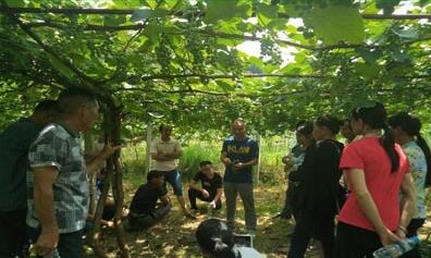 江西崇義：培訓(xùn)下基層送技能 脫貧有道播撒希望