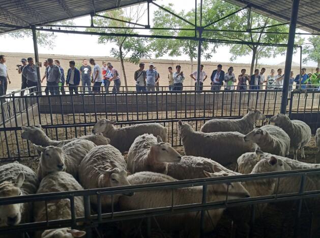 甘肅甘州：平山湖蒙古族鄉(xiāng)特色培訓助力精準扶貧