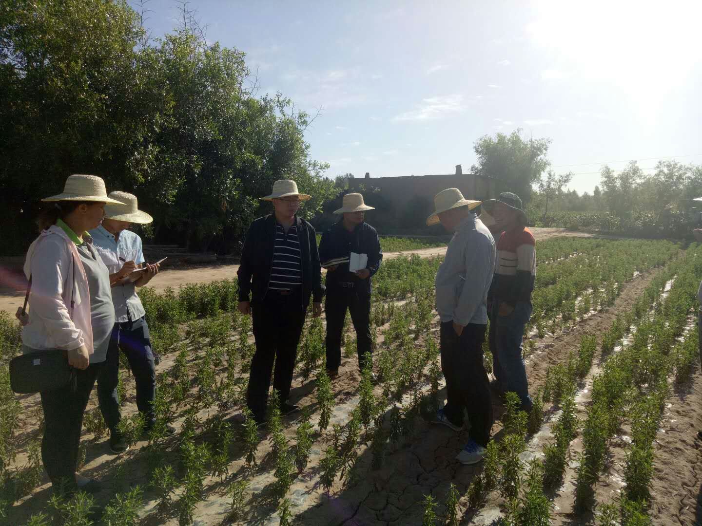 甘肅臨澤：技能大培訓(xùn) 讓農(nóng)民“長(zhǎng)本事”