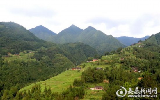 湖南：新化深山里的茶園 259戶貧困戶創(chuàng)業(yè)脫貧的“主戰(zhàn)場”