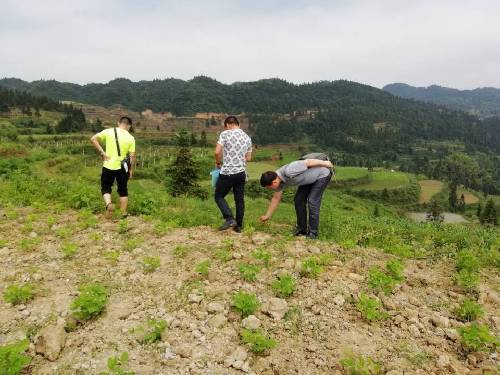 重慶市秀山縣就業(yè)人才局多舉措助力鄉(xiāng)村人才振興