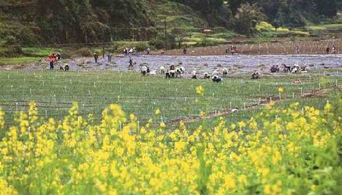 貴州省金沙縣打出就業(yè)扶貧組合拳 打通脫貧致富路