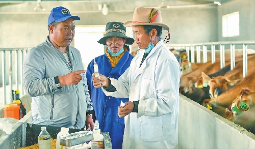 西藏噶爾縣發(fā)展生態(tài)農(nóng)業(yè)促群眾脫貧